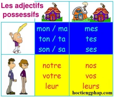 Tính từ sở hữu- Les adjectifs possessifs