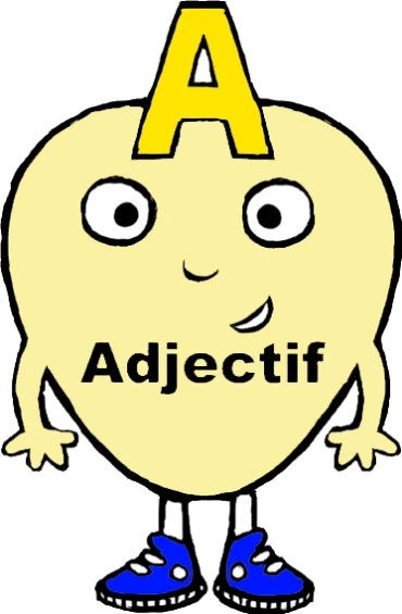 Bài 10 : Les adjectifs courants et la place de l'adjectcif 