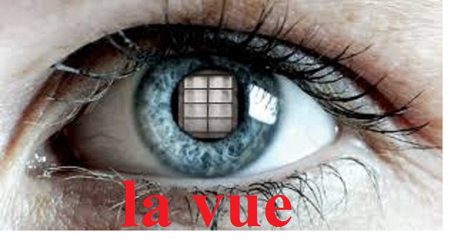 Học Tiếng Pháp sẽ hướng dẫn các bạn từ vựng về năm giác quan của con người