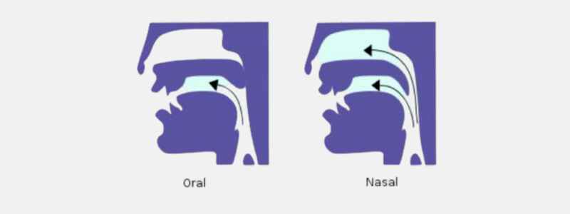 Luong-hoi-khac-nhau-giua-am-mieng-va-am-mui